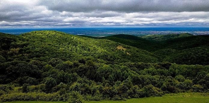 Green hills, minutes away